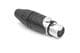 Amphenol Audio AX5F-AU