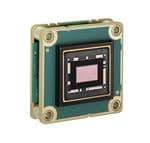 Basler 109247 powiększony obraz