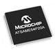 Microchip Technology ATSAME54P20A-AFT